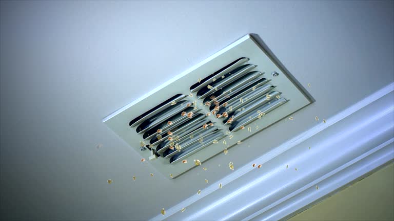 Best Professional Duct Cleaning Services  in Bull Mountain, OR